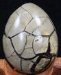 Septarian Dragon Egg Geode - Black Calcite Crystals #34706-3